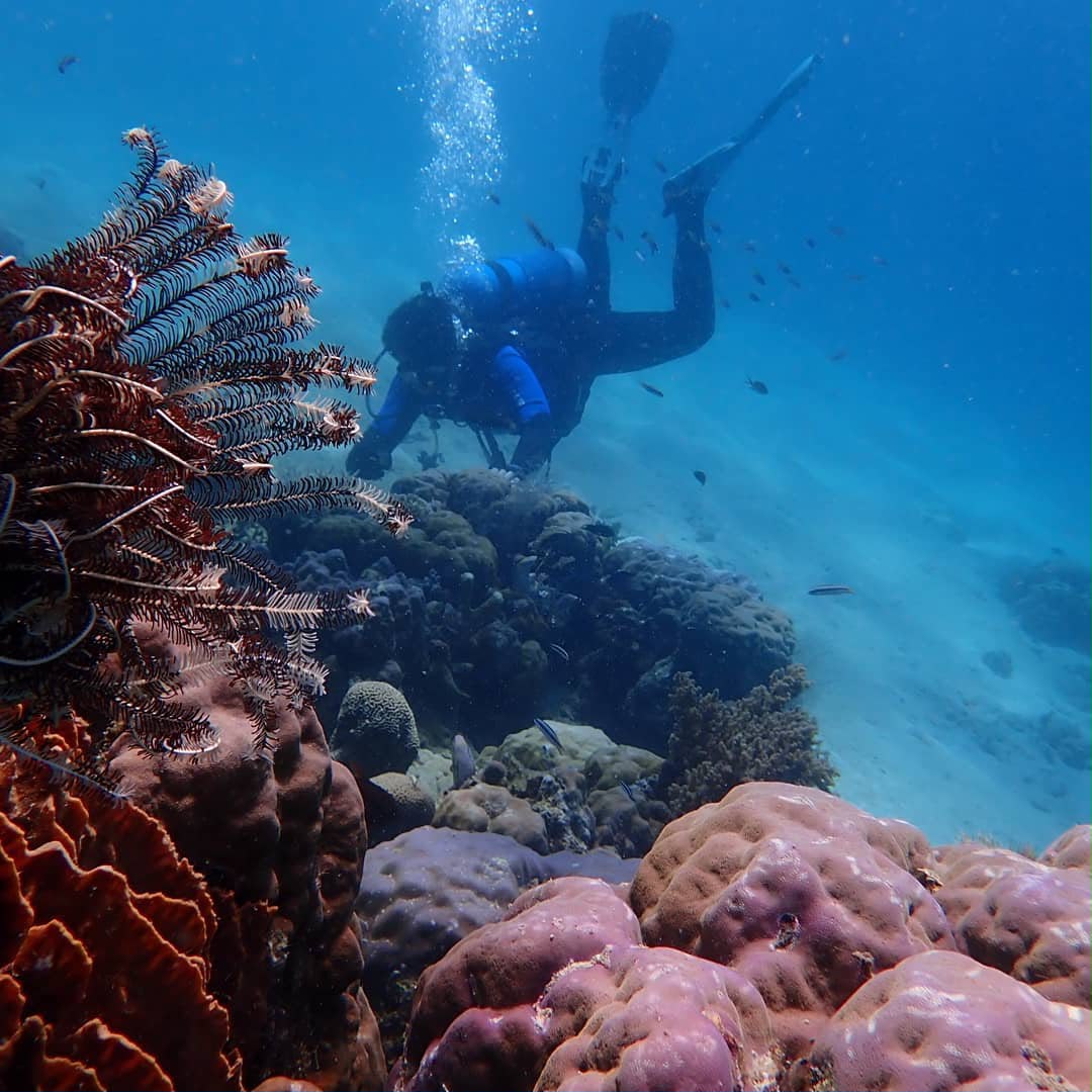 Spot Snorkeling Umum — Sudut 1