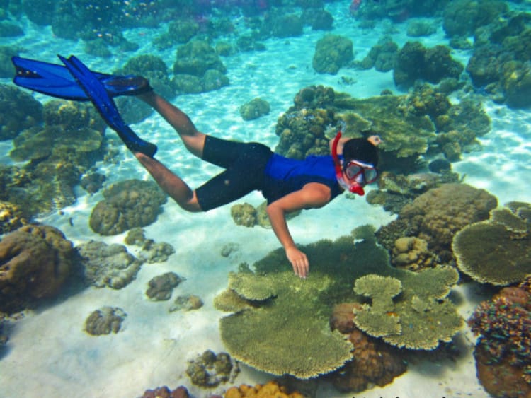 Spot Snorkeling Umum — Sudut 2
