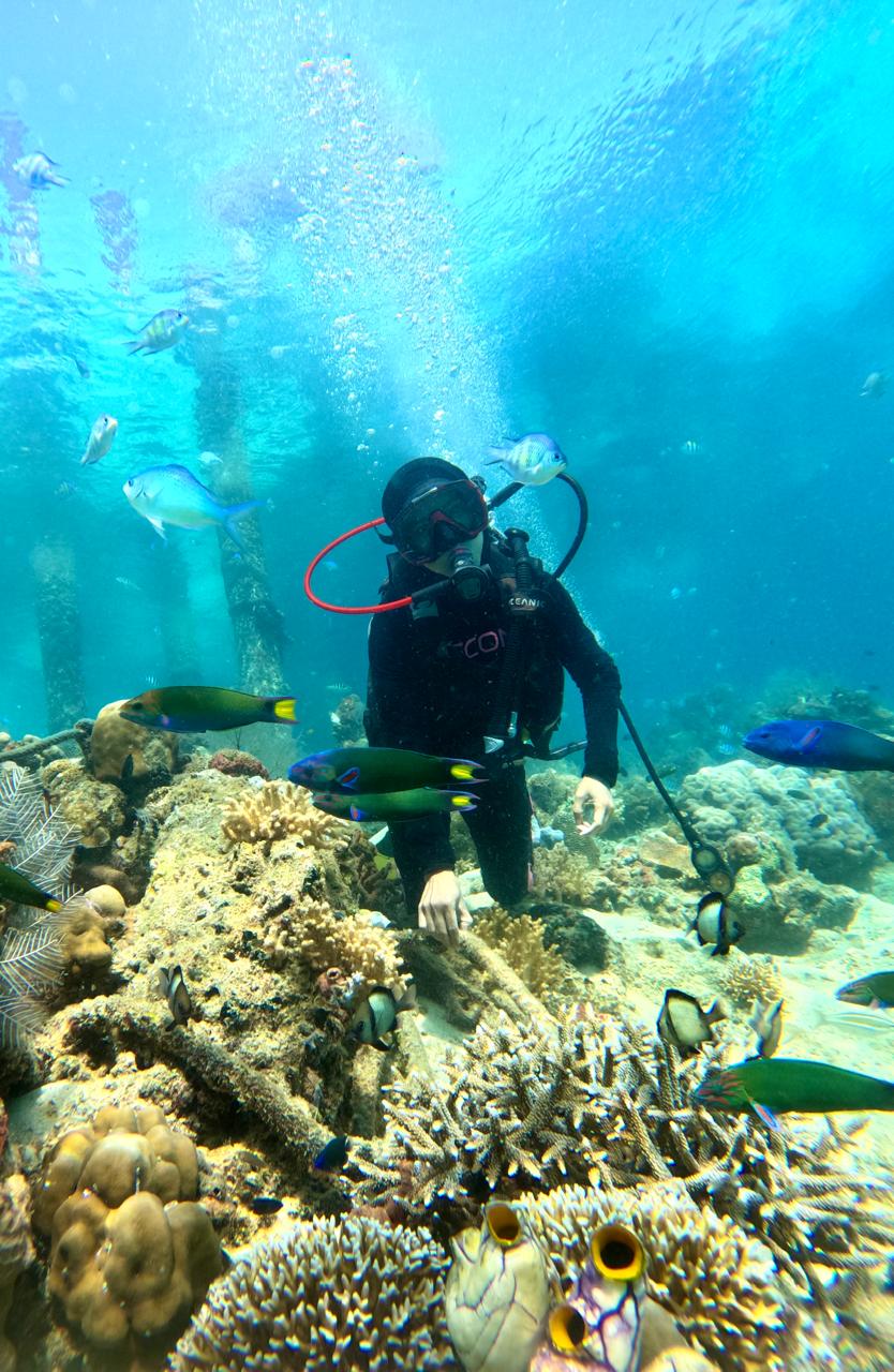 Spot Snorkeling Umum — Sudut 4