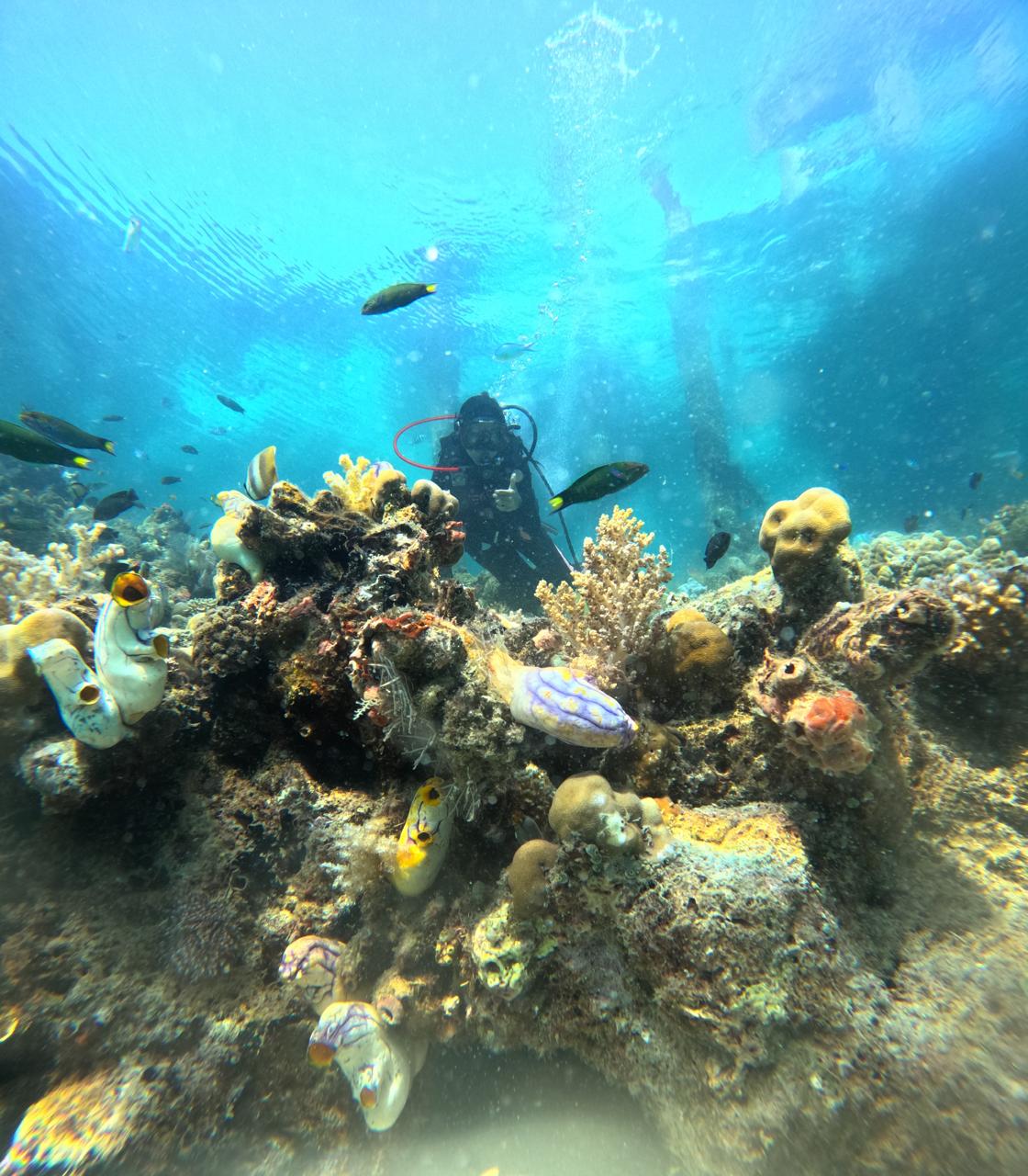 Spot Snorkeling Umum — Sudut 5